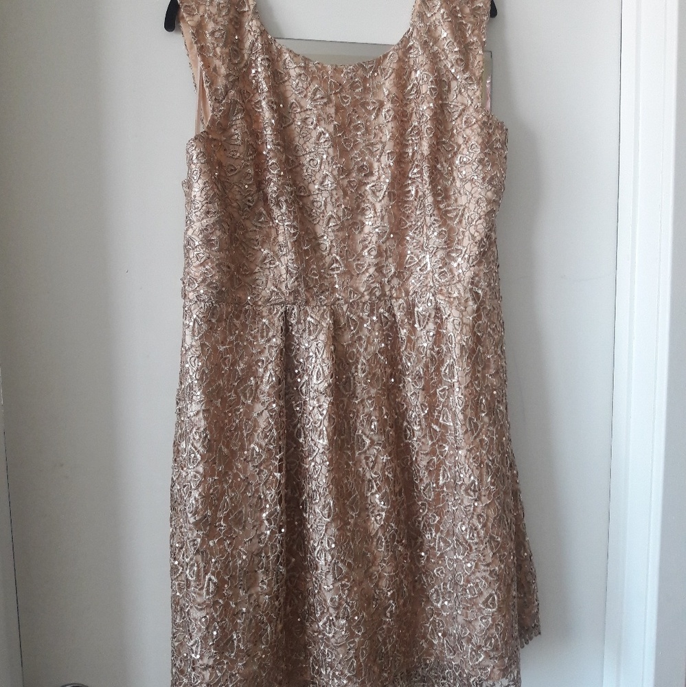 Sparkly Gold Fit/Flare Dress!